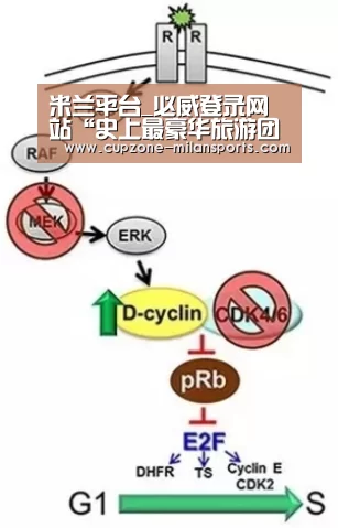 米兰电竞平台