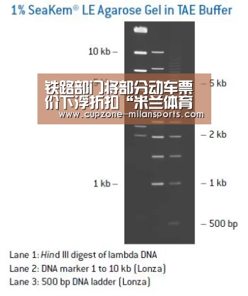 米兰平台