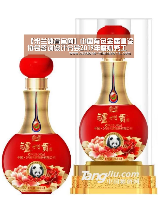 【米兰体育官网】中国有色金属建设协会咨询设计分会2019年度财务工作研究会在长沙有色院召开(图2) 米兰平台