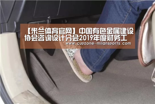 【米兰体育官网】中国有色金属建设协会咨询设计分会2019年度财务工作研究会在长沙有色院召开(图1) 米兰电竞平台