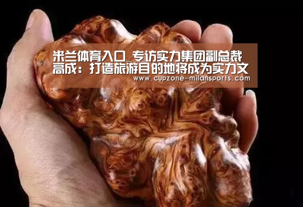 米兰体育官网