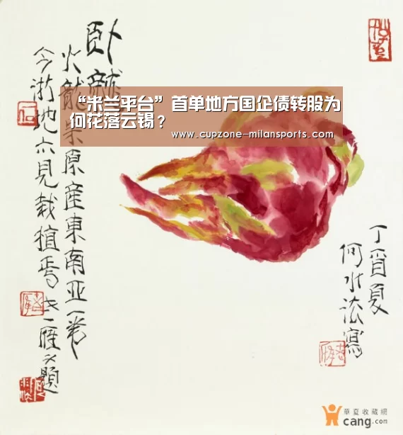 “米兰平台”首单地方国企债转股为何花落云锡?(图1) 米兰体育官网