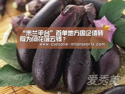 “米兰平台”首单地方国企债转股为何花落云锡?(图4) 米兰电竞平台