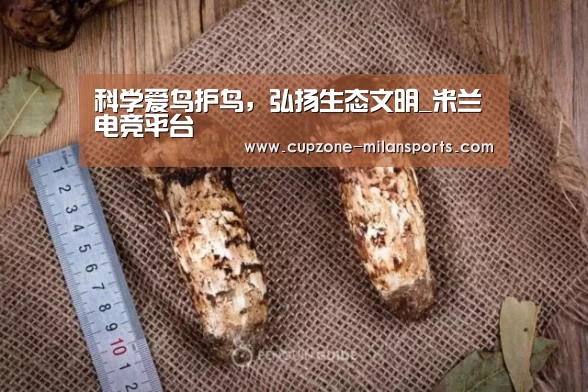 科学爱鸟护鸟,弘扬生态文明_米兰电竞平台(图3) 米兰体育官网