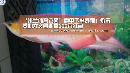 米兰体育官网