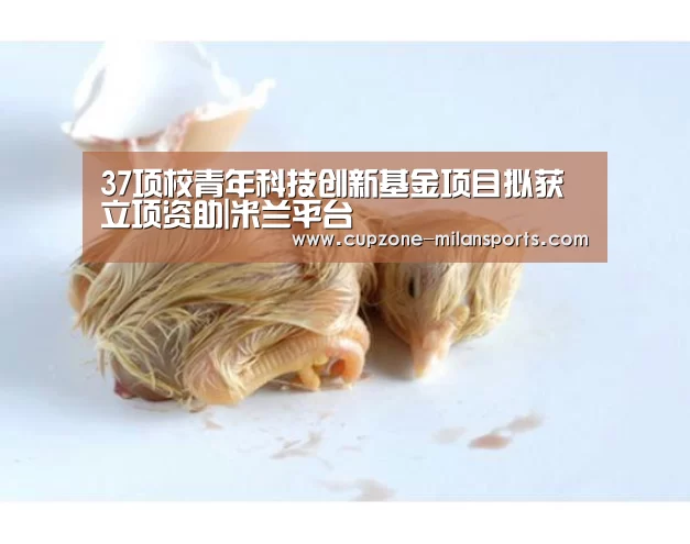 米兰体育官网
