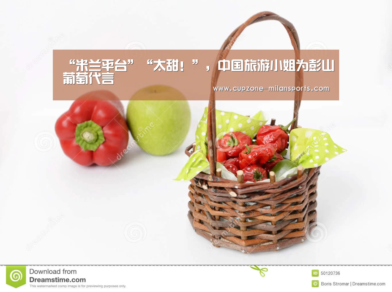米兰体育官网