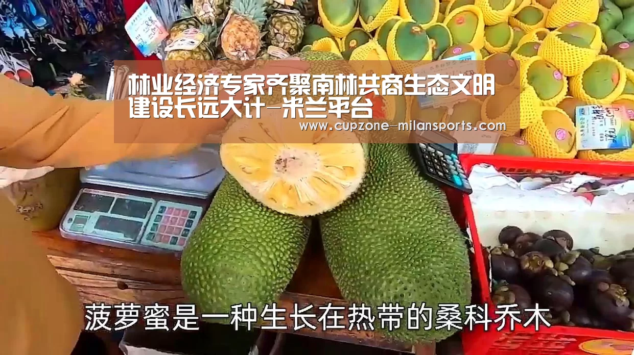 米兰电竞平台