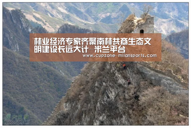 米兰平台